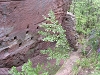 p_arnsberg16